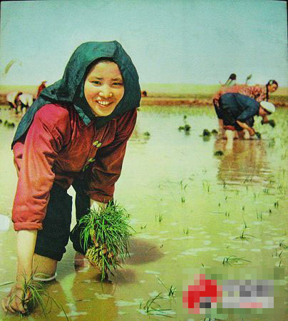 中国 回族人口_回族人大多是姓马的,这是为什么
