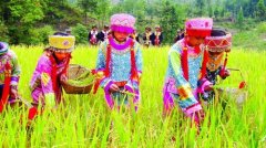 仡佬族人口_务川即将举行仡佬族祭天朝祖祭祀节,时间地点都在这里(3)