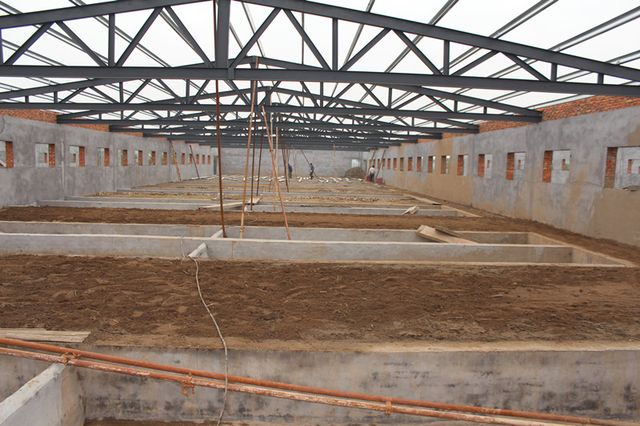 梦见建猪圈周公解梦,梦见建猪圈是什么意思?