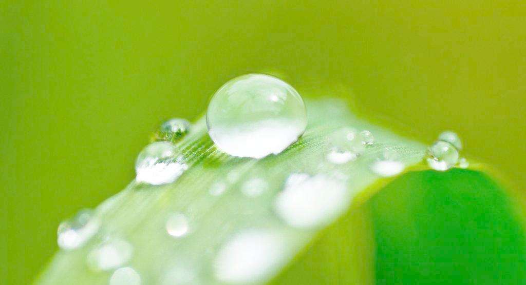 梦见露水周公解梦,梦见露水是什么意思?