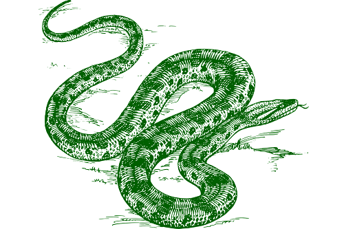 1-210323101414130.png