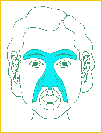 Сͼ-Ů