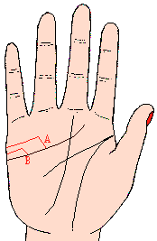 ͼ5