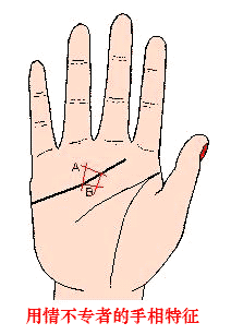鲻רߵ