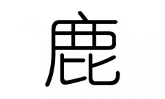 ¹ֵʲô¹м¹ֵĺ