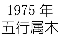 1975ʲô1975ʲô