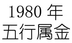 1980ʲô1980ʲô
