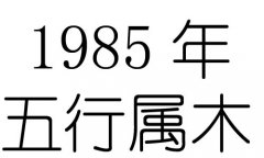 1985ʲô1985ʲô