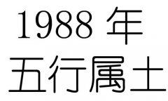 1988ʲô1988ʲô