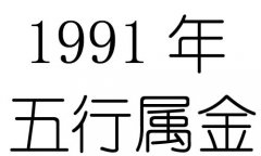 1991ʲô1991ʲô