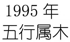 1995ʲô1995ʲô