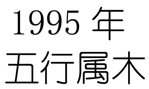 1995ʲô1995ʲô