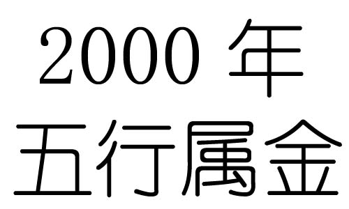 2000ʲô2000ʲô