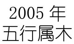 2005ʲô2005ʲô