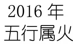 2016ʲô2016ʲô