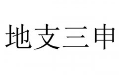 ֧ʲô˼