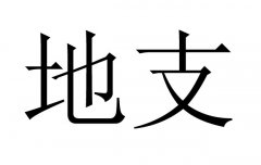֧ʲô˼