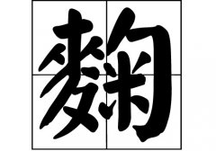 յԴ_Դ_յ