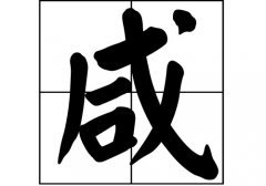 յԴ_Դ_յ
