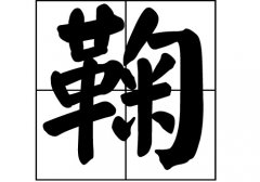 յԴ_Դ_յ