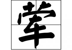 յԴ_Դ_յ