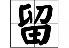 յԴ_Դ_յ