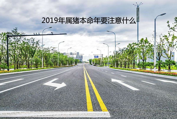 2019Ҫעʲô  2019경˱꣬ΪƼ˵һ꣬û׽֮ܶΪƶƽȵһ꣬˵ʹƵ֣úˣҲǿϮƼٺתңܵĸţֻҪϳԿܷ࣬ͼǿڼĻҲԿֲ֣и˱ԼλⱾٵֲȷء  2019װ˰  ˽ӦƽΪ˵װ޺ͰΪض˵Ӱһ㡣ãƩңƴĸӰ졣2019ڵĸıǱģһҪһˮõķ䣬ȵȡѡͬʱҲҪѡϽɾˣǧҪͬϢңҲһɫֲмǲҪֲһЩˮĶֲˮڷˮϸԼơһҪΪƹҲѡɫƹ⣬Ӧѡůɫĵƹ⣡ڷ﹩лС˽̫񡢽Ԫȷƶɣշڶ˲ɷҲԻ̫ⷸΣաС˵Ⱥ͸ţʹֵͨƽԣʹȫƽ˳죬ֶԶ롣Ǳ˺ͷ̫ߣԽ˽ҷڴͷ񡢰칫ڵȣͬʱ𿨿Яͷ£ڰߣƴų2019緢ˬ  2019˹Ȳ˴ҵ  1995˵2019Ǳҵʱ׳־ѾͲסҪҵѪڱһܵǵĸźͷ̫ĳɴжϣԲڽסŲٽ̤ʵصĹһ꣬ѧϰµ֪ʶȹԼΪԺĴҵ⽨ڽ겻ҪƵĹһӶҪصĸλѧ֪ʶɳģҪͶ뵽ĿǰĹ˽Ļһ߰칫ҰڷһòơڼתΪв߷ɵˣۿϺأ2019˳˳ˮ⣻вƻ֮ޣҳ˵ĲƸ븣֣ܹ֮ơ  2019˰ƽ׽ƽ  ΪƽȡʿһʢҲѻصԣѾаµ˻һƽڣһ㶼ԺܺõӦƽڣҪһԸƢʲôӡԷϲԷǧ򲻿ɶ򣬷׸Ѻۡڽ˻׹¶įҪ㷢ĵУҲҪʱԼһ̸ģſʹ鳤ãȹƽǵĸι̼ᶨһԵں׹Եٽг˳졣ҪĻǽͥƽãҪԼա˽һҳ˼˵֧ĻӸʶʹ£  ڹҪС  ڹλϴƴܾõѾԼͬԸյãҲӦ֪˭ֵý˭ֵýҪԶߵˣΪ壬һǳײִҲ׵õһЩС˵ơڹһҪУԭϵһҪȣԼߵһҪֺſͬһõҪľǾԼͷĹһҪϸ˶ԣ˹ͬʱҪýӹΪβģһҪɼԼĵ֪  ֮ܶ2019걾Ҫעܶ࣬νƲõһ꣬ĽɻҪԼע⡣ڽ˱ȽϺãʶȽǮŵùѺͼˣһǼʱתƲƲܱ궯ĸţԼǵĸ飬һ̶ҲΪԺһǮϣ2019궼ƽȶȹܱĸźƻ