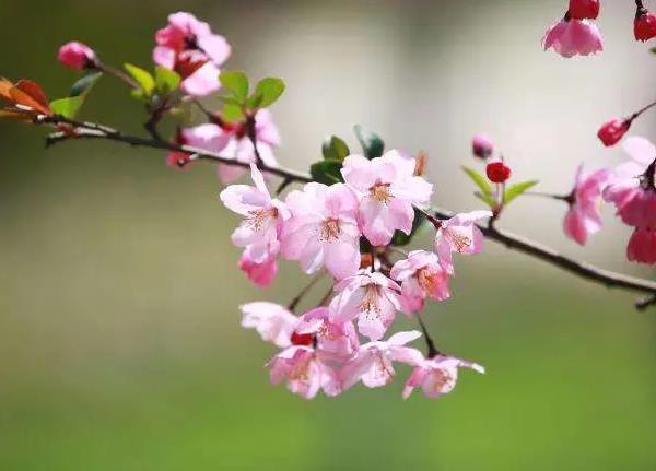 μĻ