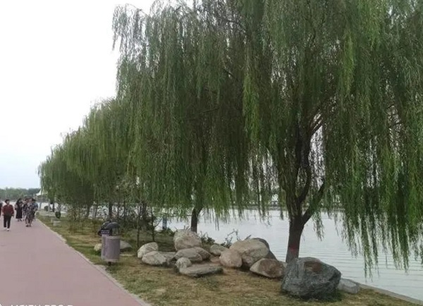 梦见堤岸