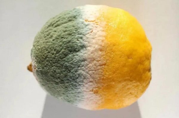 μù
