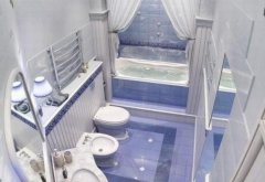 厕所的风水植物须知