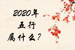 2020年五行属什么？2020年出生是什么命？