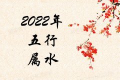 2022年五行属什么？2022年出生是什么命？