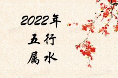 2022ʲô2022ʲô