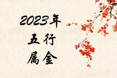 2023ʲô2023ʲô