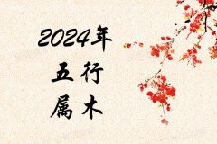 2024ʲô2024ʲô