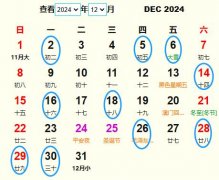 202412°Ƶ ʺ202412°ĺ