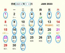 20231¼Ƶ ʺ20231¼ĺ