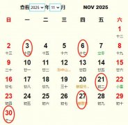 202511¶Ƶ ʺ202511¶ĺ