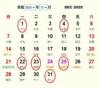 202512¶Ƶ ʺ202512¶ĺ