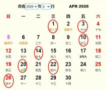 20264¿ҵƵ ʺ20264¿ҵĺ