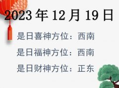 20231219ղλѯ-20231219ղϲλȫ