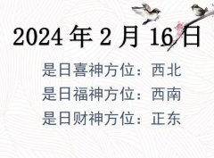 2024216ղλѯ-2024216ղϲλȫ