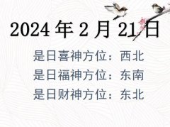 2024221ղλѯ-2024221ղϲλȫ