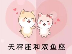 ˫