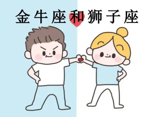 ţʨ