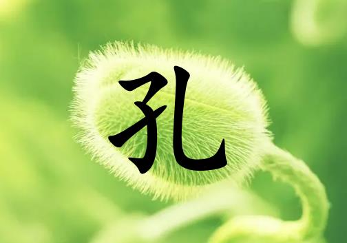 տŮľ_տŮľ100