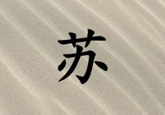 Ů_Ů100