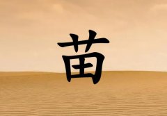 Ů_Ů100