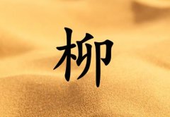 Ů_Ů100